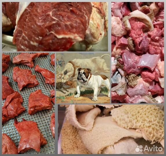 Мясо Говядина для собак