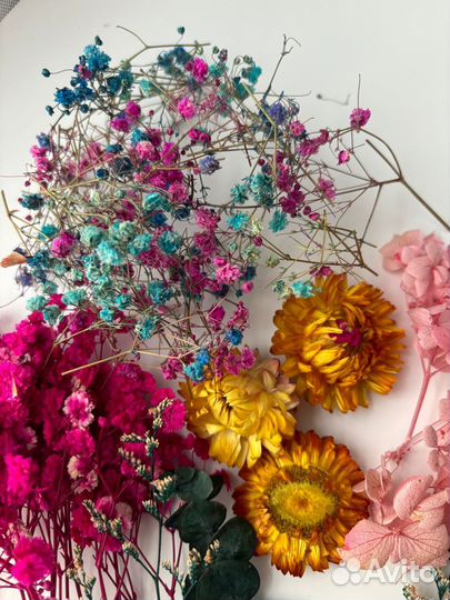 Набор сухоцветов для творчества