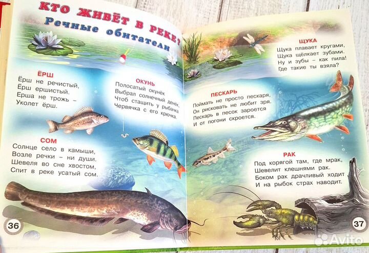 Родная природа Учебник дошкольника Степанов