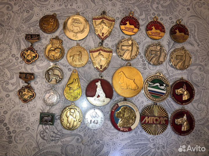 Собачьи медали и жетоны, значки, кубок