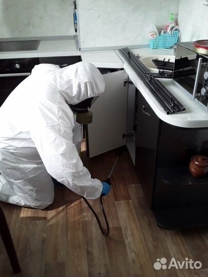 Дезинфекция. Травля тараканов, клопов