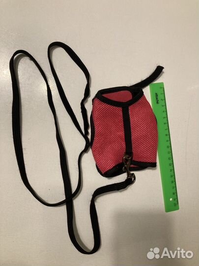 Шлейка для кошки или морской свинки