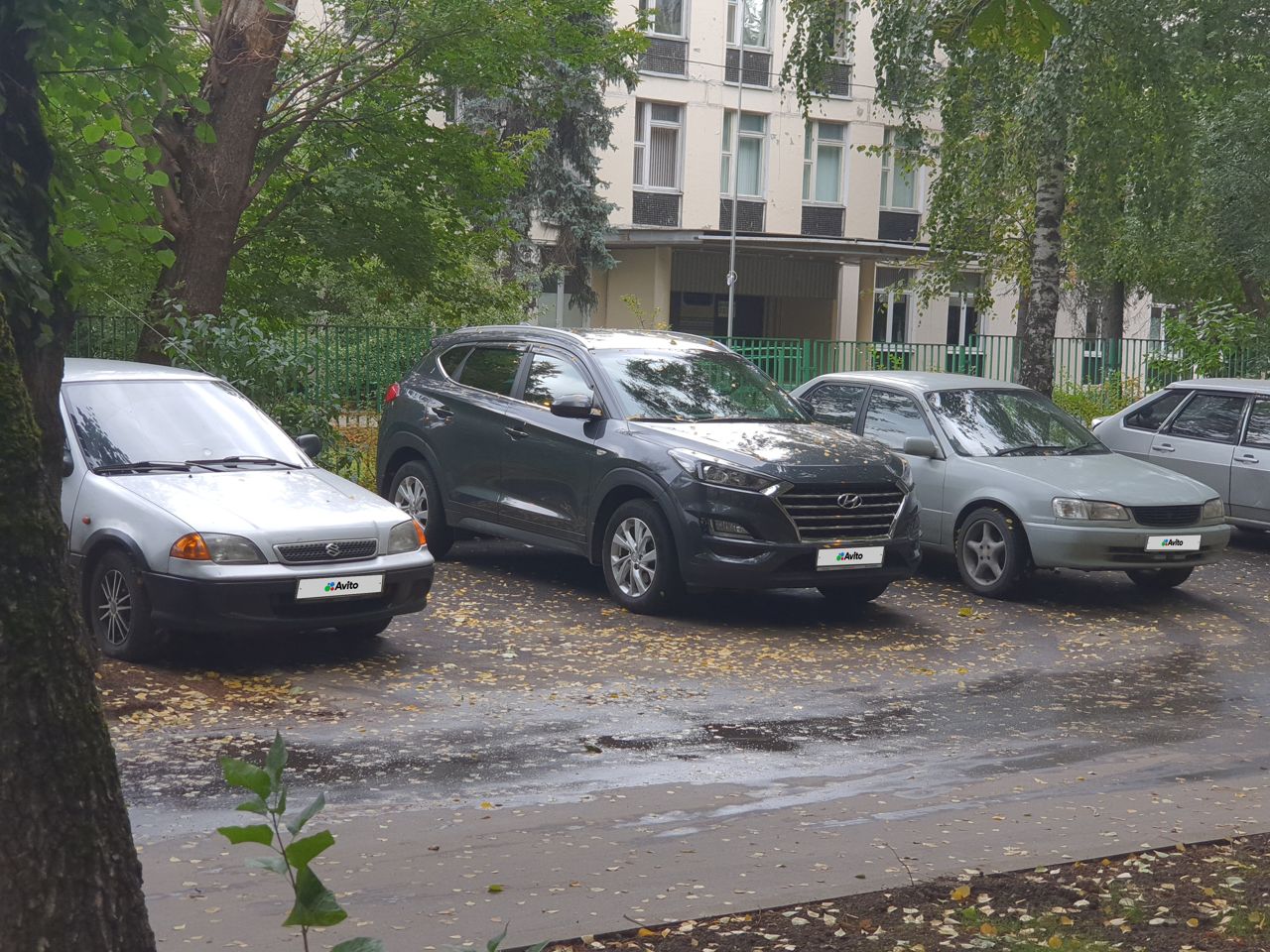 Suzuki Swift: фото владельца