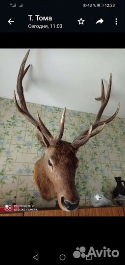 Плакетки из дерева с рисунком