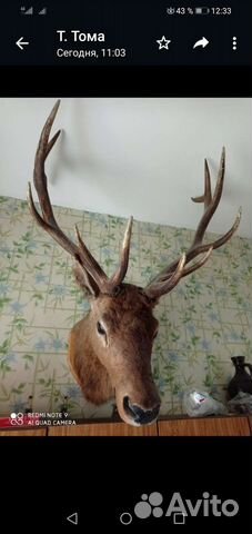 Плакетки из дерева с рисунком