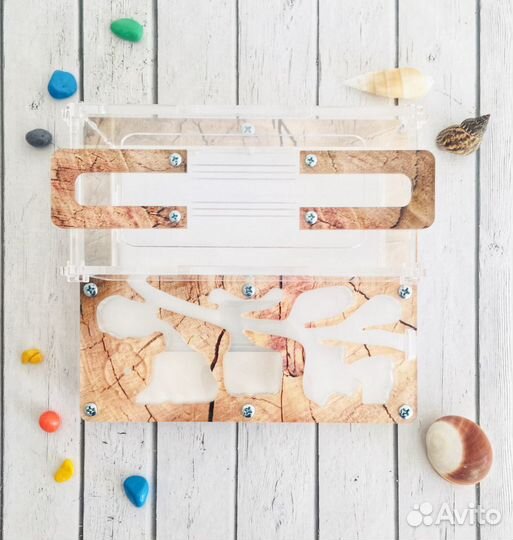 Муравьиная ферма mini 