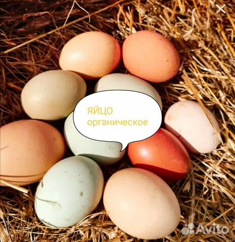 Домашние яйца, мясо, молочная продукция