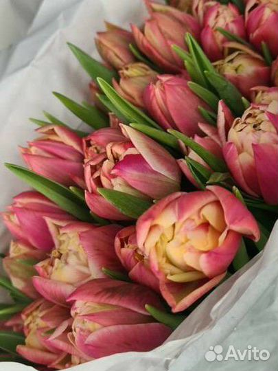 Цветы тюльпаны оптом от производителя