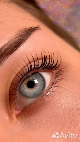 Обучение по ламинированию ресниц