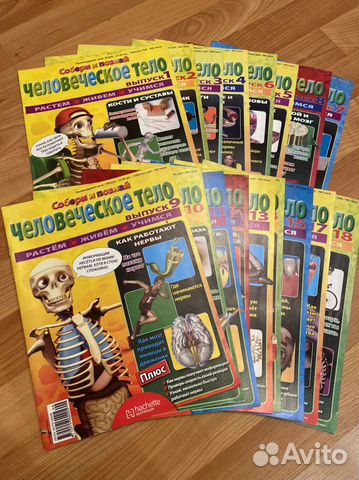Журналы Человеческое тело и Артём
