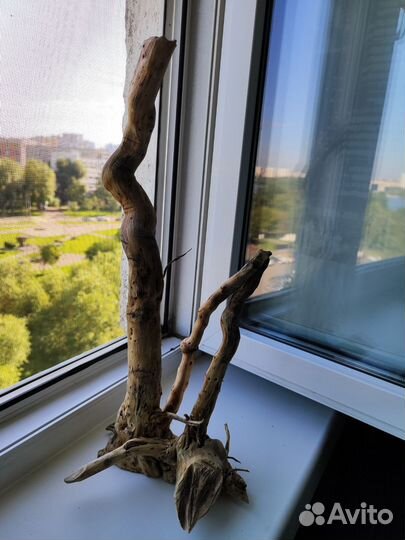 Коряги для аквариума