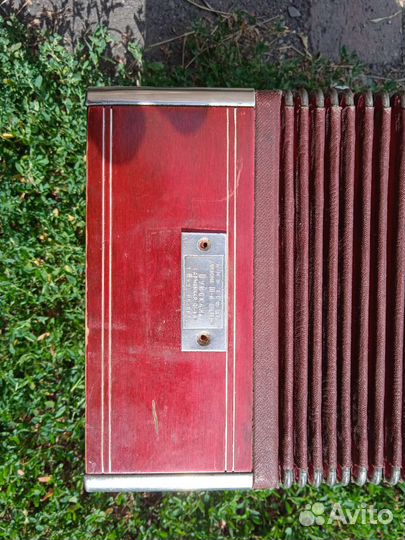 Гармони Шуя