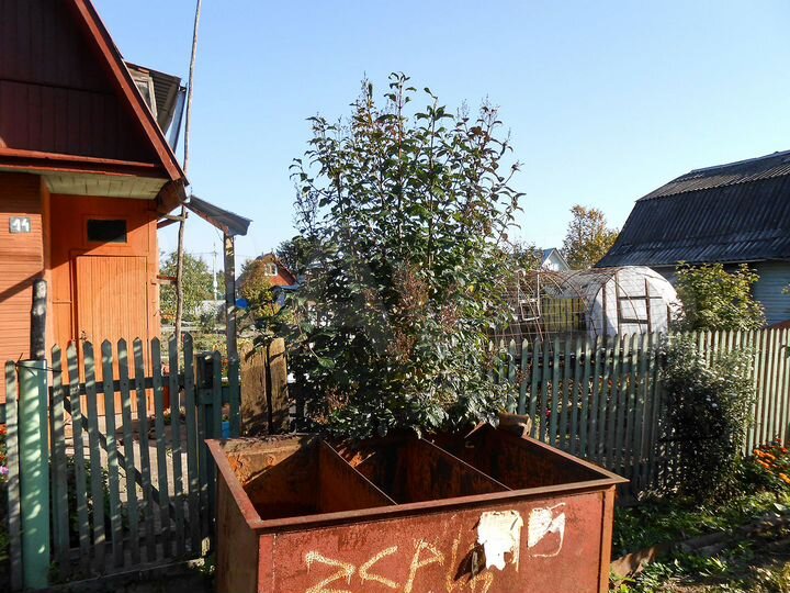 Дом 51 м² на участке 5 сот.