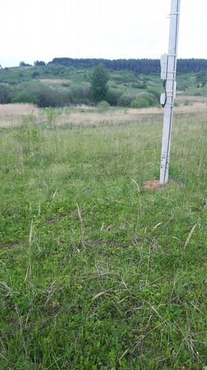 Участок 12 сот. (СНТ, ДНП)