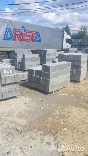 Перегородочная перемычка