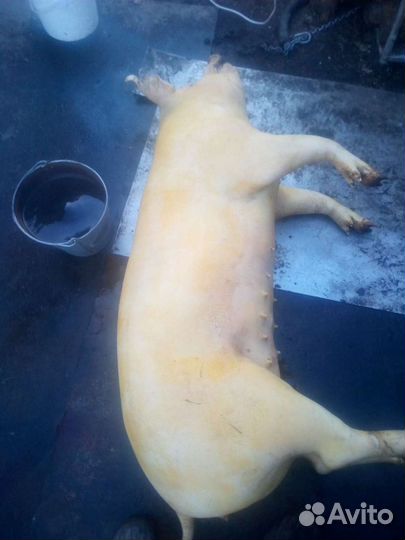 Шикарное домашнее мясо