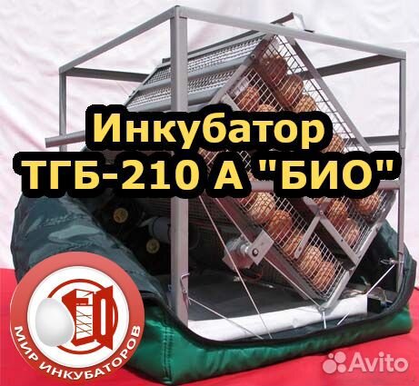 Инкубатор