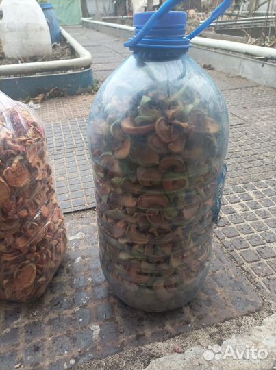 Сушка из яблок ароматная, сладкая