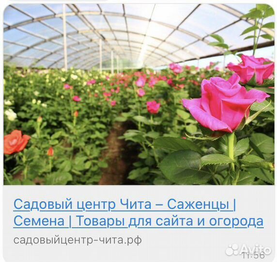 Тепличный комплекс