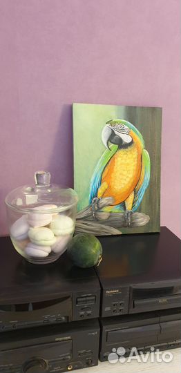 Попугай Ара