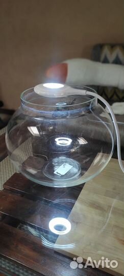 Аквариум 10 л