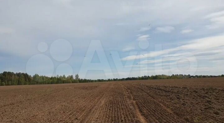 Участок 10000 га (СНТ, ДНП)