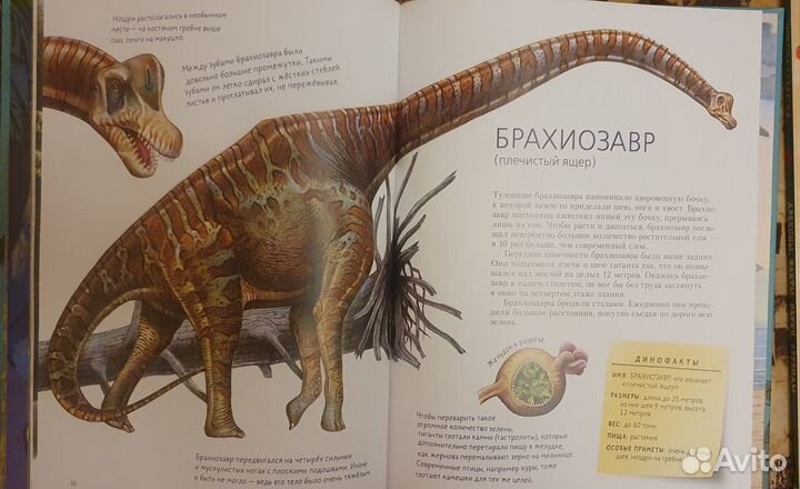 Комплект книг про динозавров и драконов