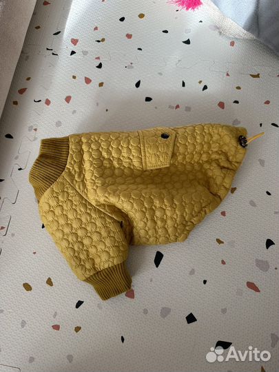 Одежда для собак мелких пород