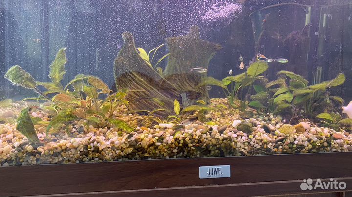 Аквариум 140 с тумбой
