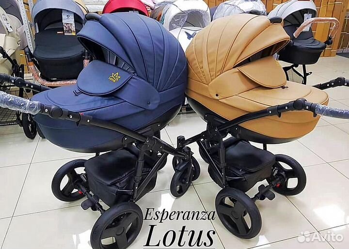 Детская коляска Esperanza Lotus