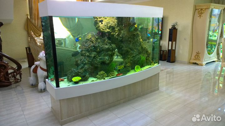 Подбор оборудования и запуск аквариума под ключ