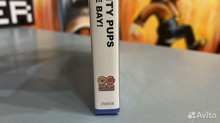 Paw Patrol mighty pups