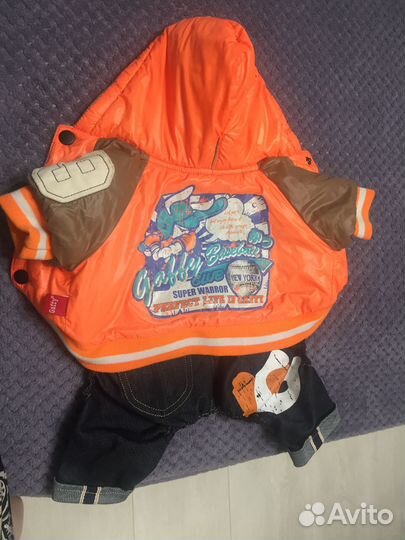 Одежда для маленьких собак