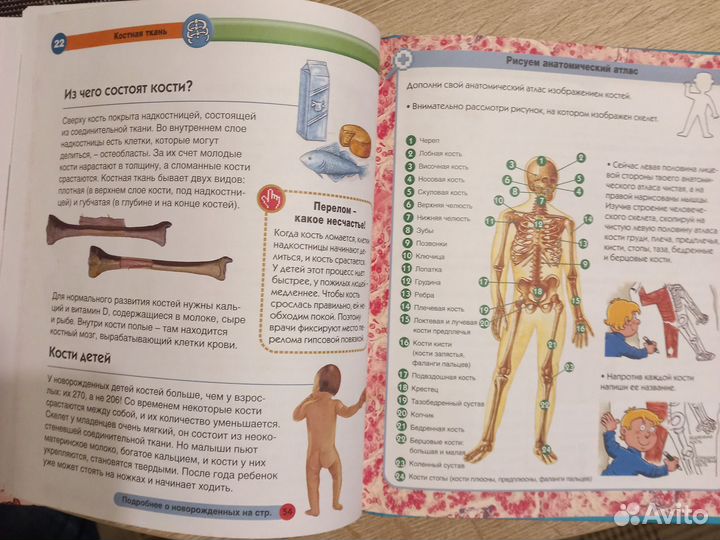 Книги для детей Тело человека