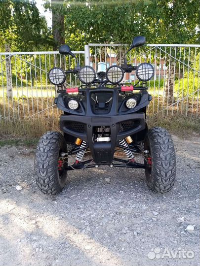 Tiger sport 250