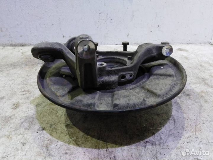 Кулак задний левый