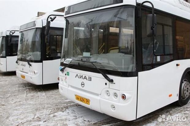 Водитель автобуса (категория D)