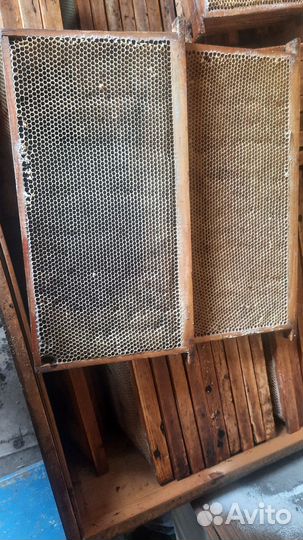 Рамки с сушью магазинная