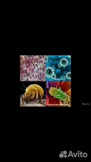 Лампа кварцевая