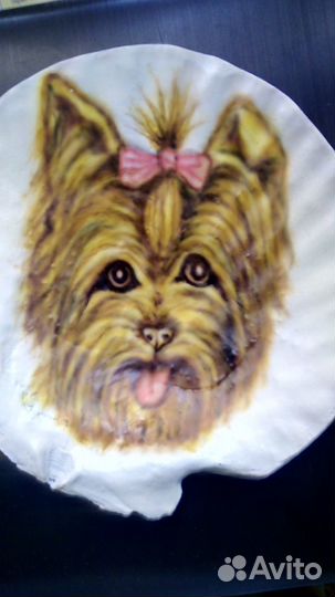 Рисунки на ракушках