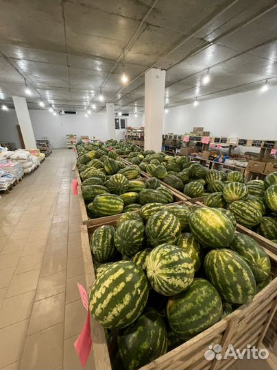 Арбузы Иран