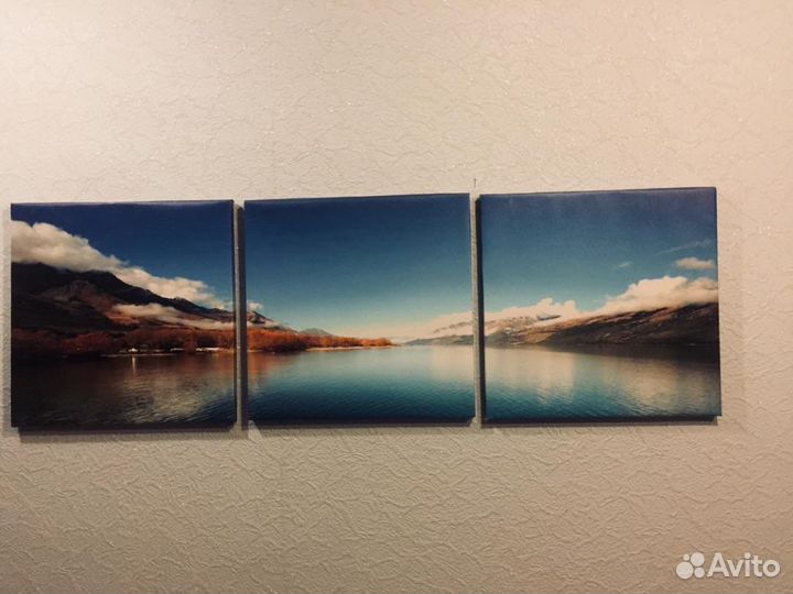 Картина на стену в каркасе по три штуки размер 40*