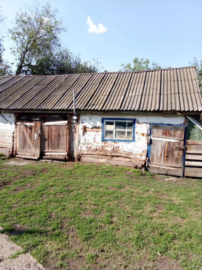 Дом 70 м² на участке 12 га