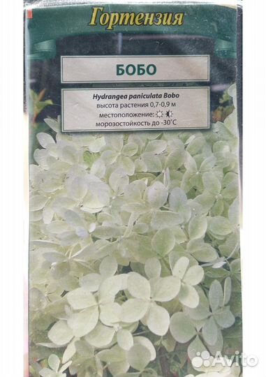 Гортензии (саженцы 30 сортов)