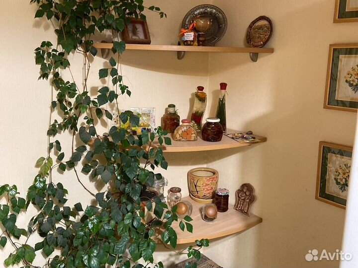 Полка настенная