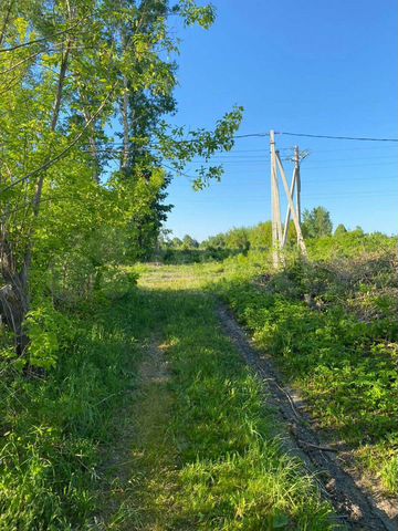 Участок 10 сот. (СНТ, ДНП)