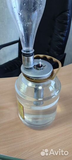 Попугай на банку