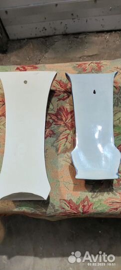 Вазаынастенные