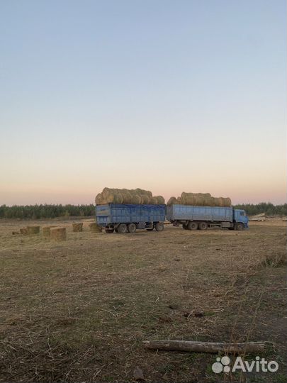 Сено в тюках