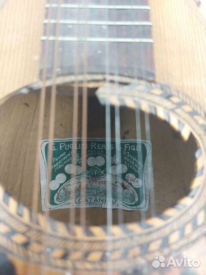 Мандолина 1900-е Италия Catania anno 1908-09